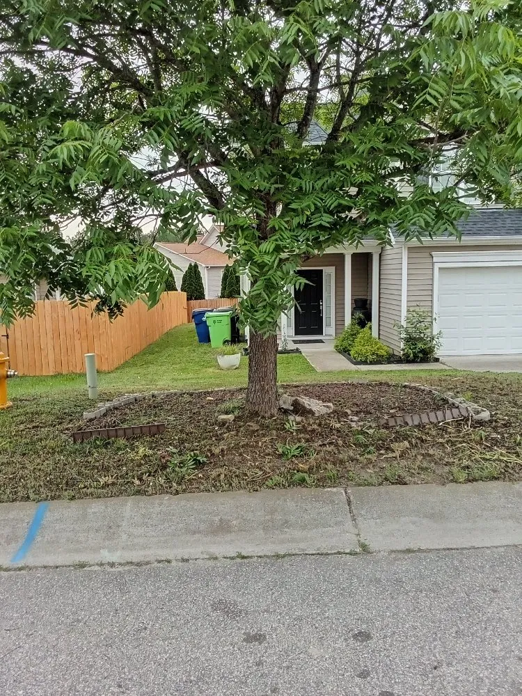 Local landscaping services experts serving Clayton, NC - Limitless Lawn Care