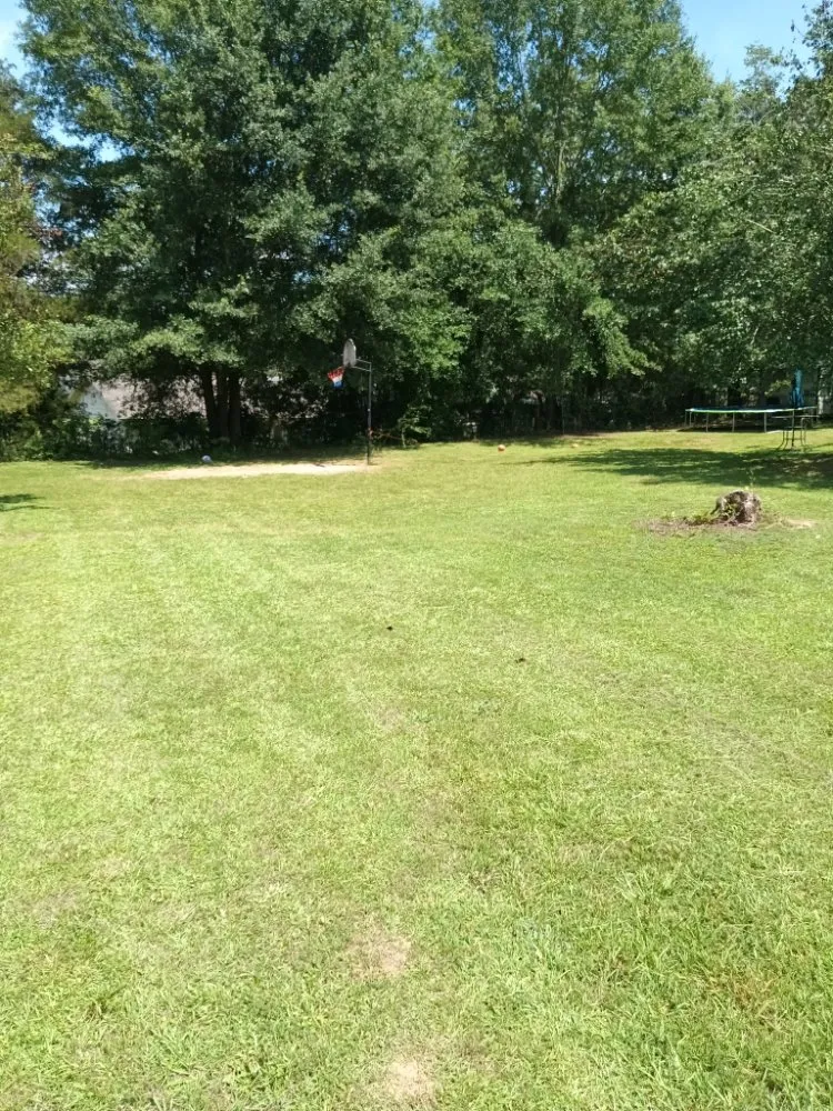 Top-rated landscape installation for beautiful yards across Northport, AL - Limitless Lawncare and Landscaping
