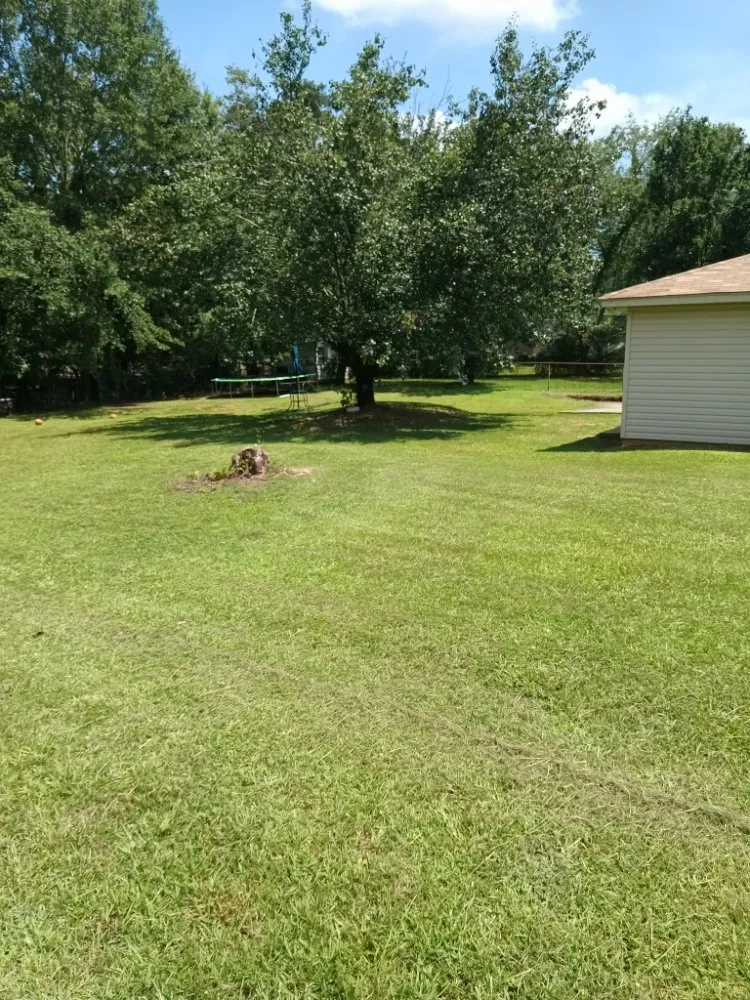 Trusted landscape installation in Northport, AL by Limitless Lawncare and Landscaping