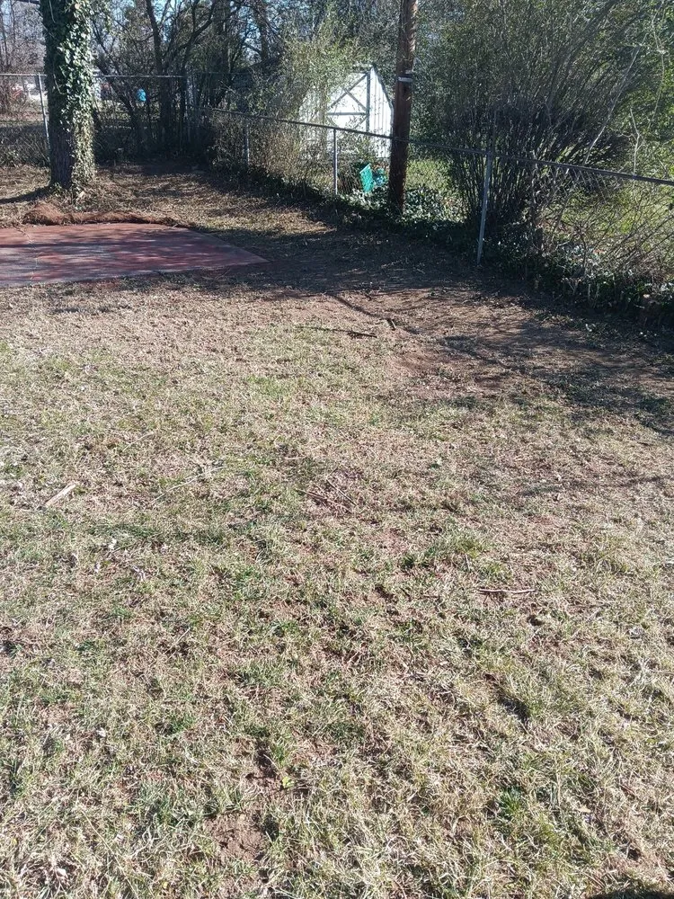 Professional lawn care service in Roanoke, VA - Limitless Lawncare And Landscaping