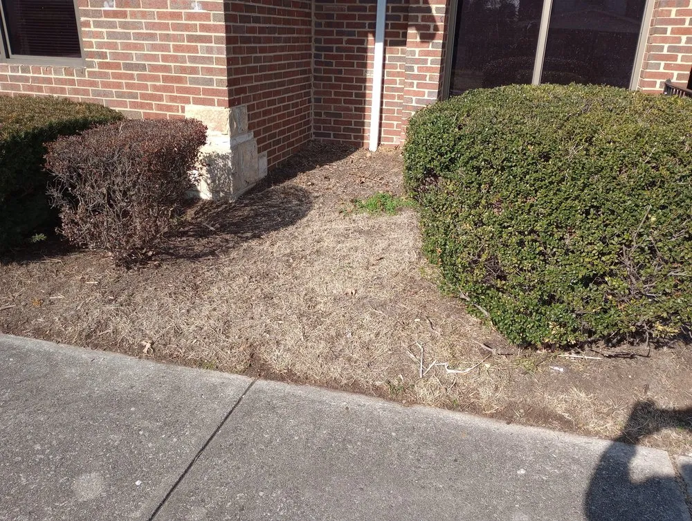 Custom yard cleanup service for outdoor upgrades across Roanoke, VA - Limitless Lawncare And Landscaping