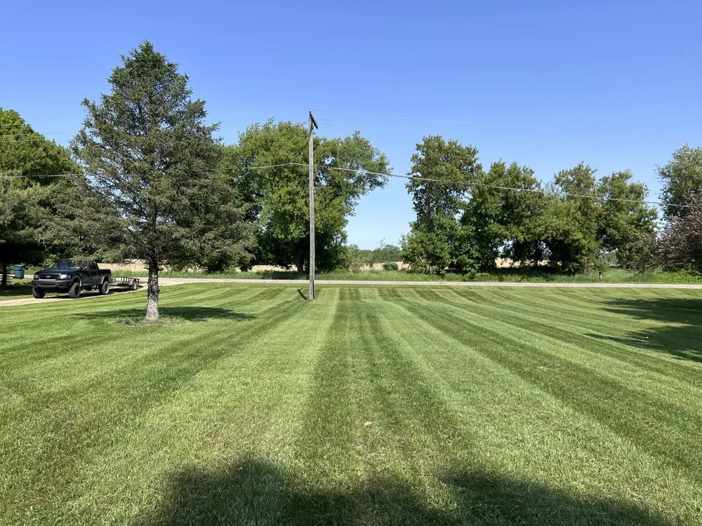 Expert yard cleanup service experts serving Lapeer, MI - Limitless Lawns