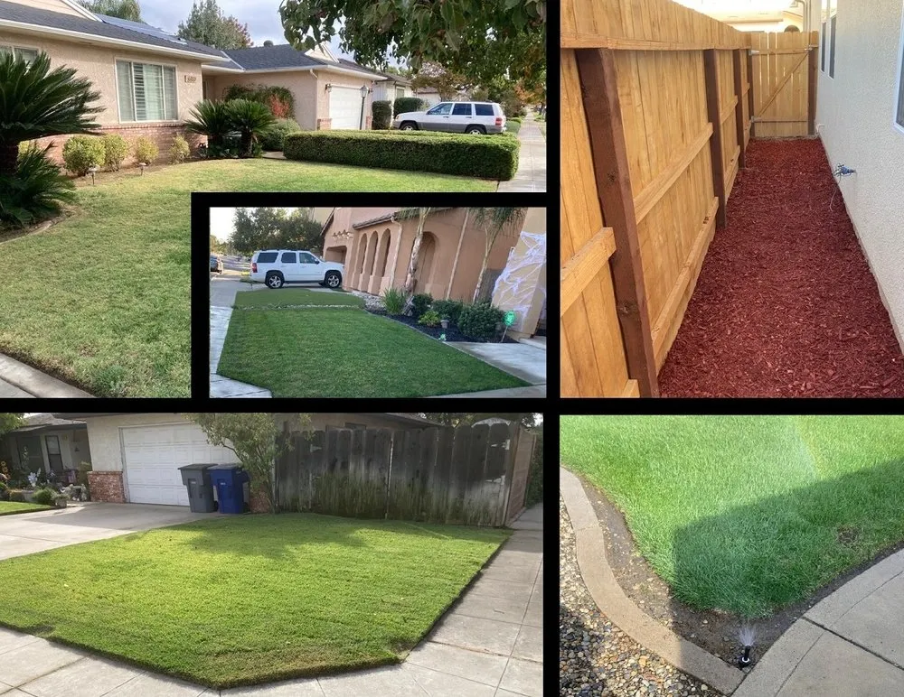 Custom yard maintenance in Fresno, CA - Limitless Maintenance Services