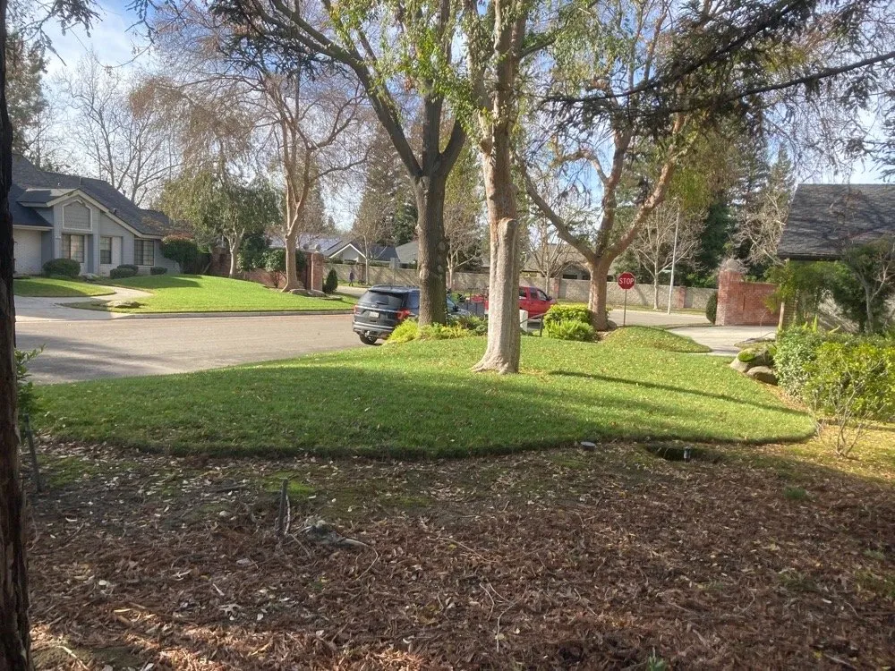 Trusted landscape design for residential properties across Fresno, CA - Limitless Maintenance Services