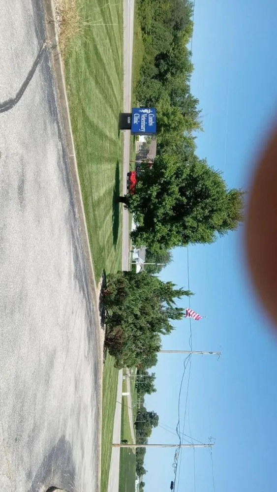 Expert yard cleanup service with custom design across Bloomington, IN - Limitless Outdoor Services