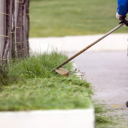 Expert landscaping services experts serving Seattle, WA - Limitless Outdoor Services