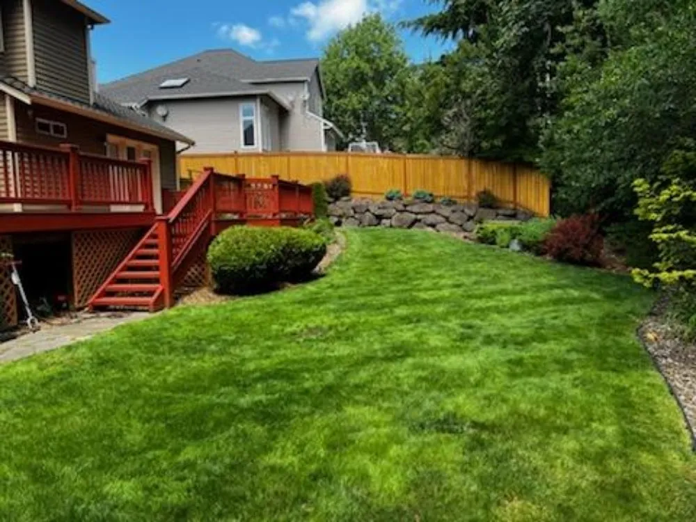 Trusted yard cleanup service for outdoor upgrades across Seattle, WA - Limitless Outdoor Services