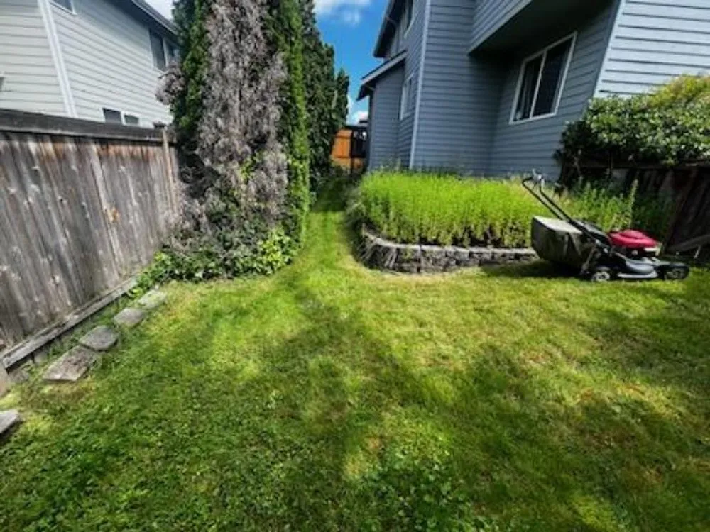 Local landscape installation in Seattle, WA - Limitless Outdoor Services