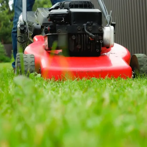Professional landscape design for year-round maintenance in Seattle, WA by Limitless Outdoor Services