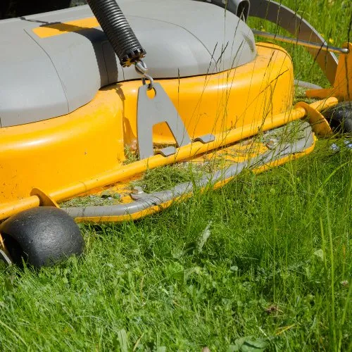 Top-rated landscape design in Seattle, WA - Limitless Outdoor Services