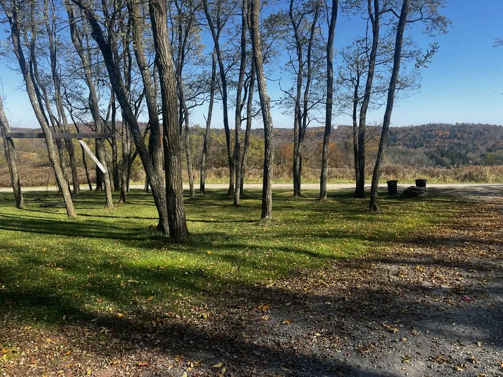 Reliable residential landscaping in Montrose, PA - Limitless Property Care