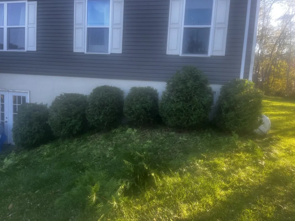 Expert lawn care service for beautiful yards in Montrose, PA by Limitless Property Care
