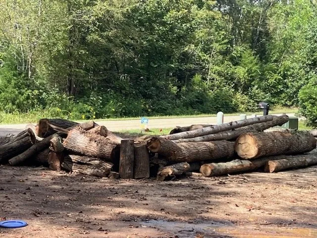 Local yard maintenance in Winston-Salem, NC by Limitless Property Solutions