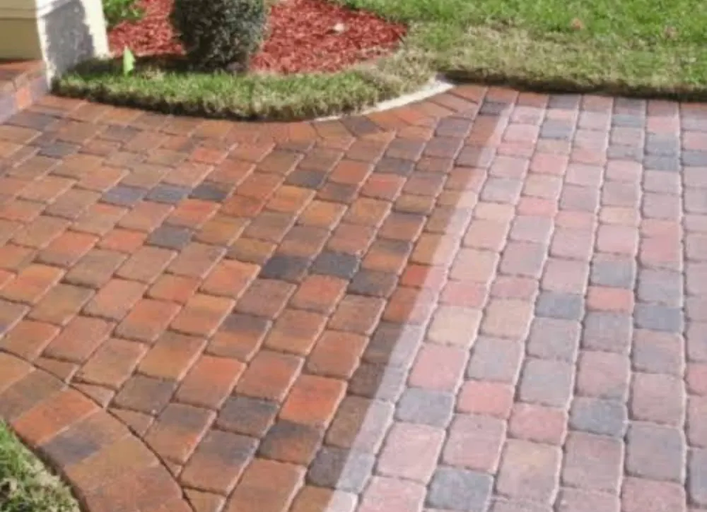 Reliable yard cleanup service in Harrisburg, NC - Limitless Solutions