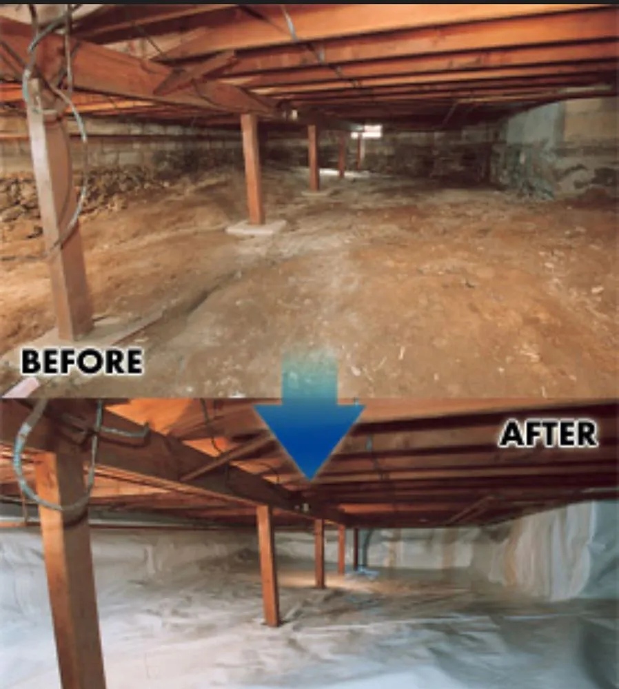 Affordable landscape design in Harrisburg, NC by Limitless Solutions