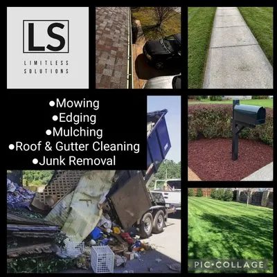 Limitless Solutions Logo