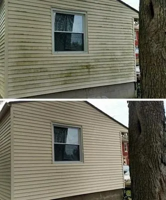 Limits Power Washing and Landscaping