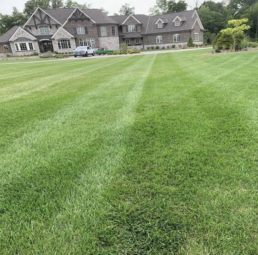 Local landscaping services for year-round maintenance in Anderson, IN by Limon Green-Tree Landscaping