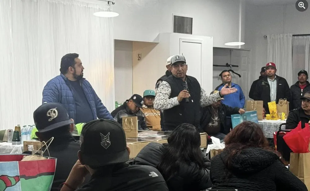 Professional landscaping services in Anderson, IN - Limon Green-Tree Landscaping