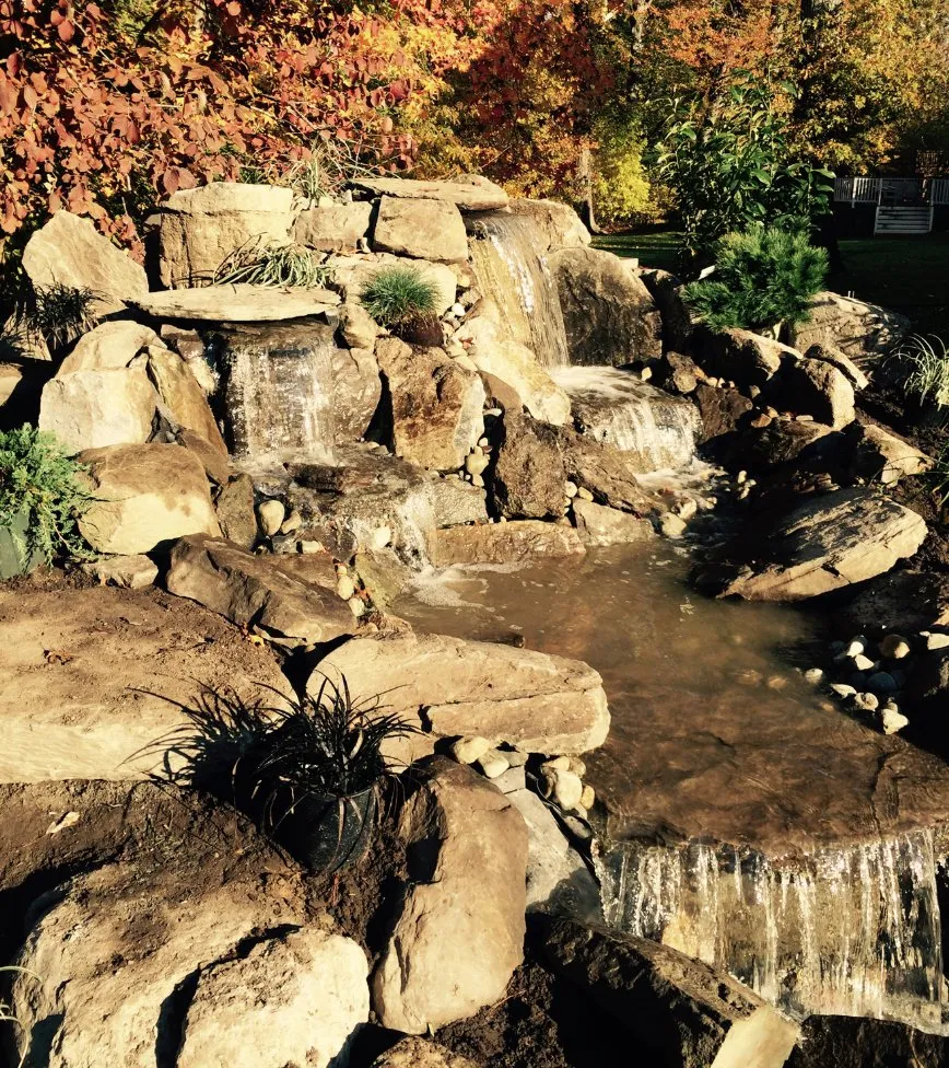 Affordable landscape design in Hawthorne, NJ by Limone Farm & Gardens
