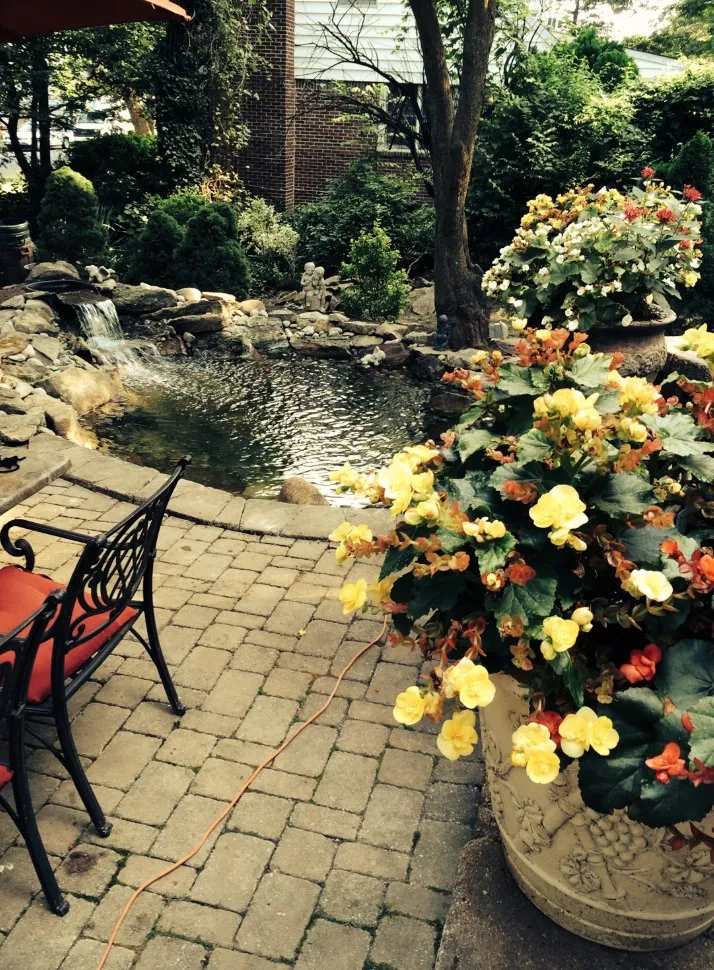 Affordable residential landscaping in Hawthorne, NJ by Limone Farm & Gardens