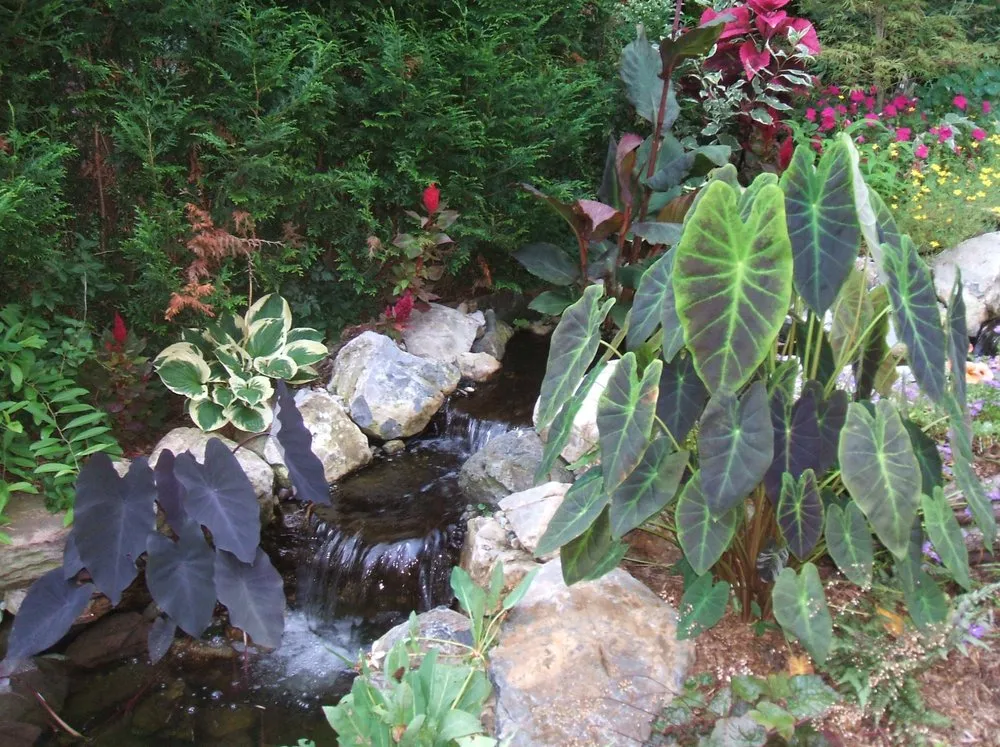 Top-rated outdoor landscaping experts serving Hawthorne, NJ - Limone Farm & Gardens