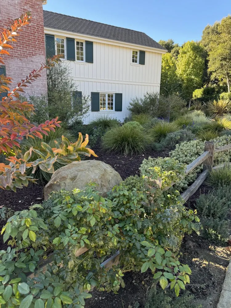 Top-rated yard maintenance experts serving Santa Barbara, CA - Limon's Landscaping