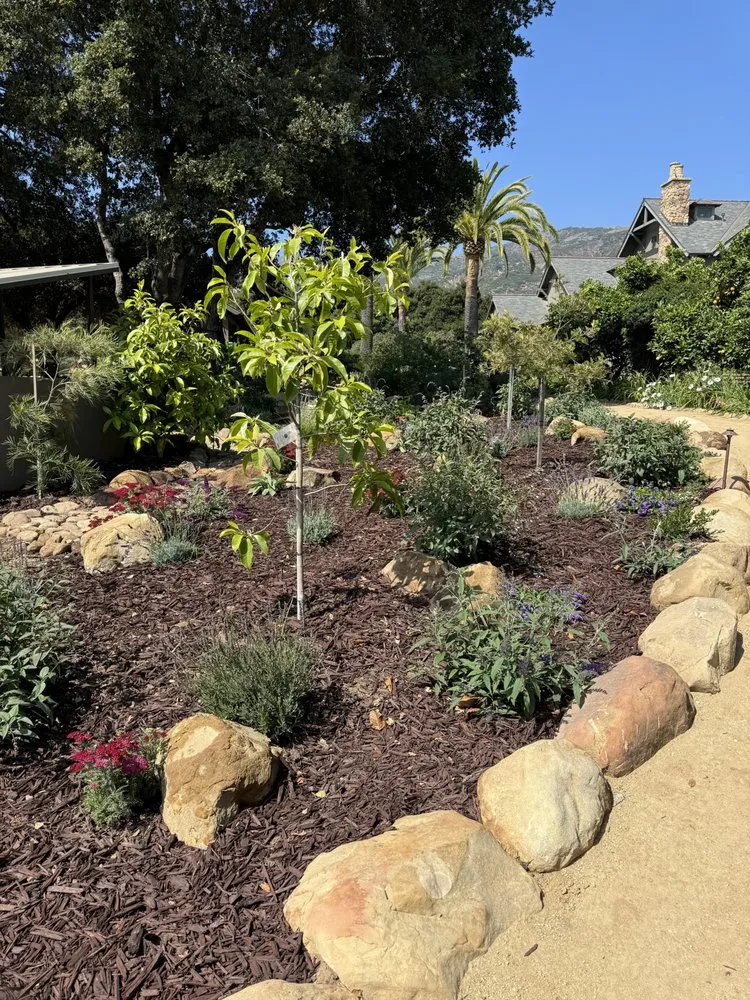 Local landscaping services in Santa Barbara, CA - Limon's Landscaping