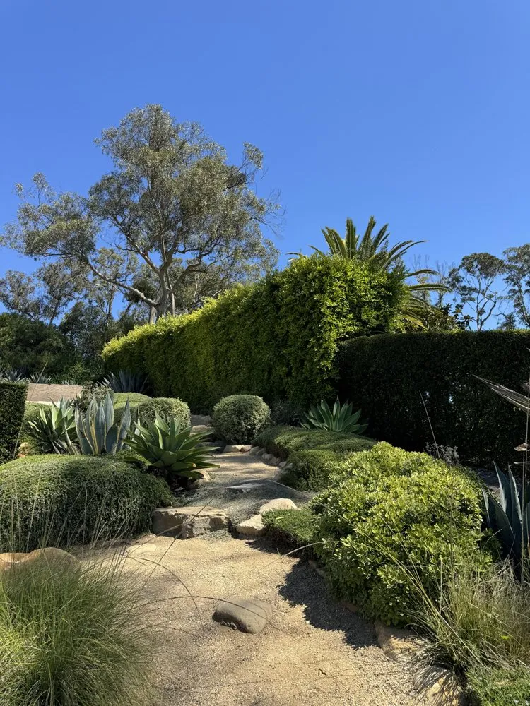 Local lawn care service experts serving Santa Barbara, CA - Limon's Landscaping