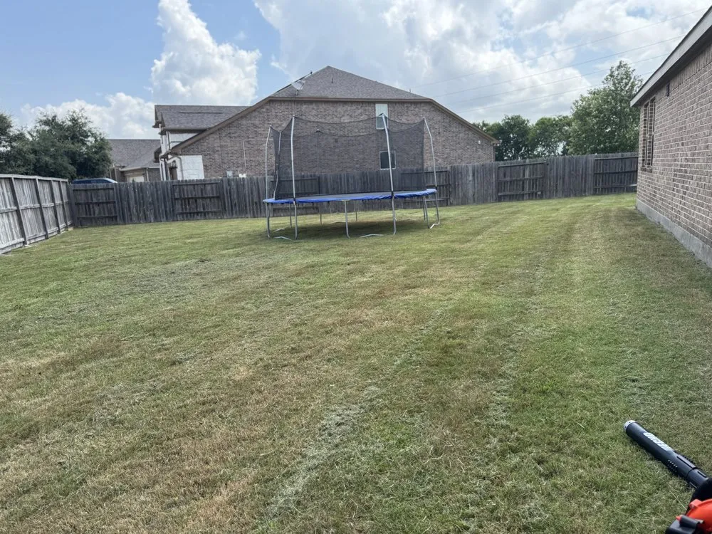 Affordable yard cleanup service for residential properties across Rosenberg, TX - Limpert TexScapes