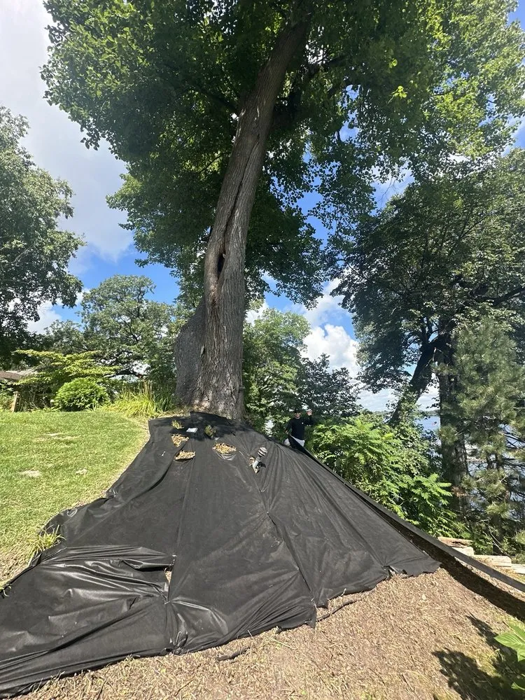 Professional landscape installation experts serving Minneapolis, MN - Limpio