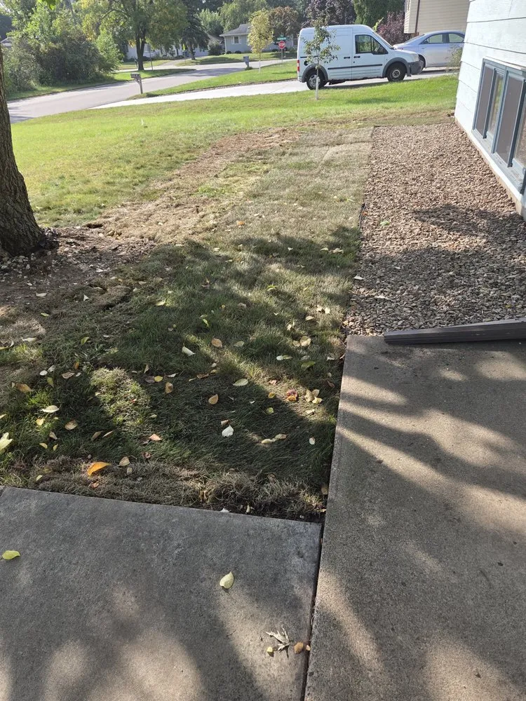 Expert landscaping services experts serving Minneapolis, MN - Limpio