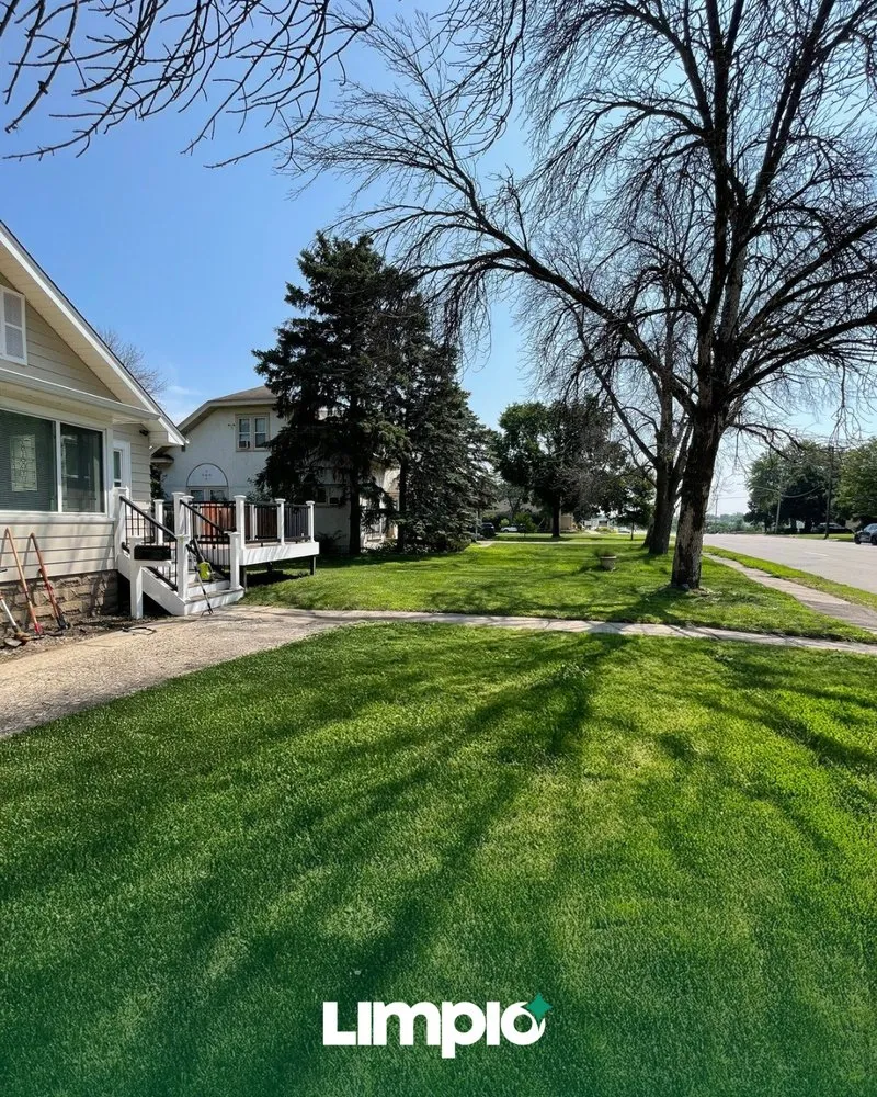 Top-rated yard cleanup service near you in Minneapolis, MN by Limpio