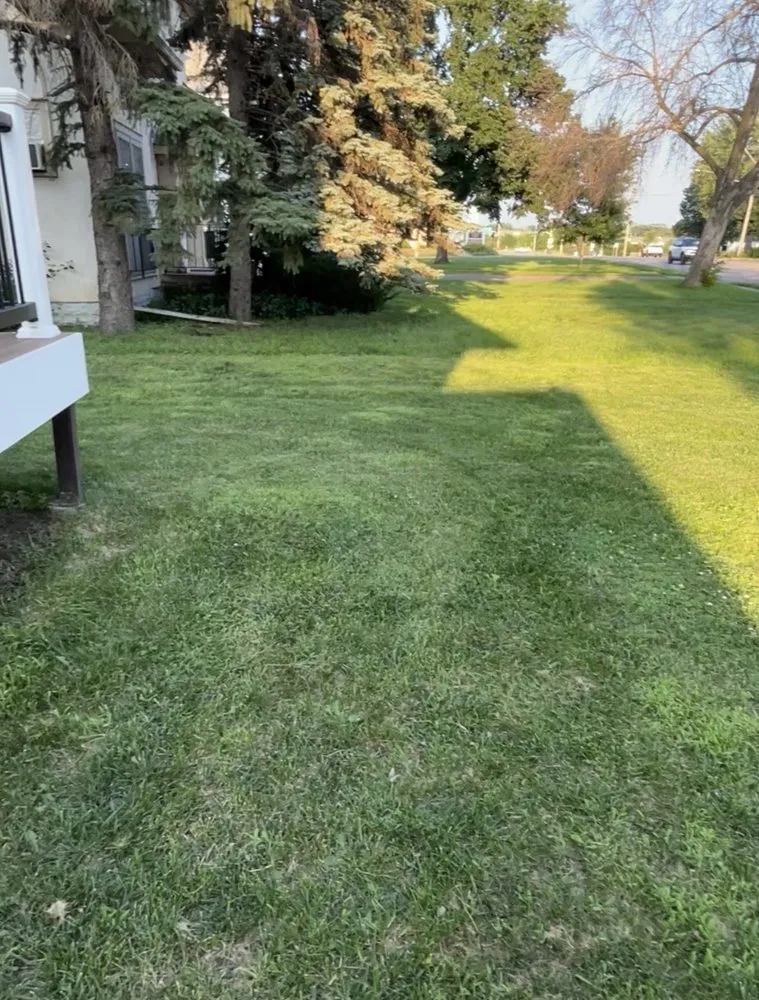 Reliable landscaping services in Minneapolis, MN - Limpio