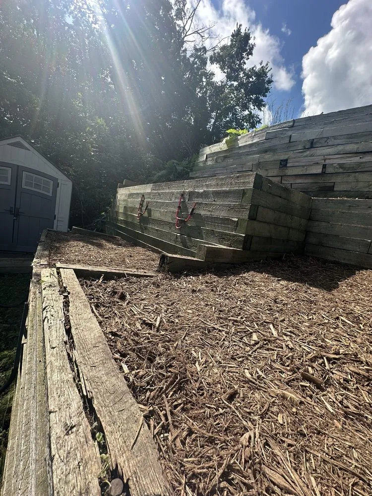 Affordable lawn care service in Minneapolis, MN - Limpio