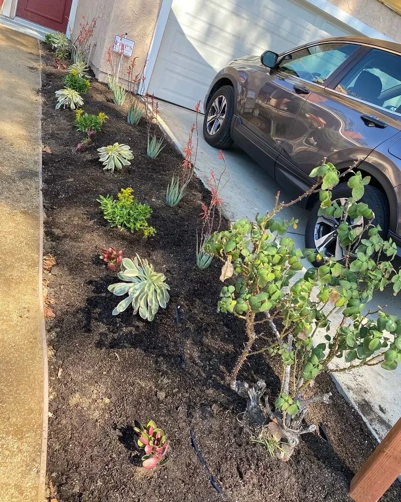 Custom lawn care service experts serving Altadena, CA - Linares Landscaping