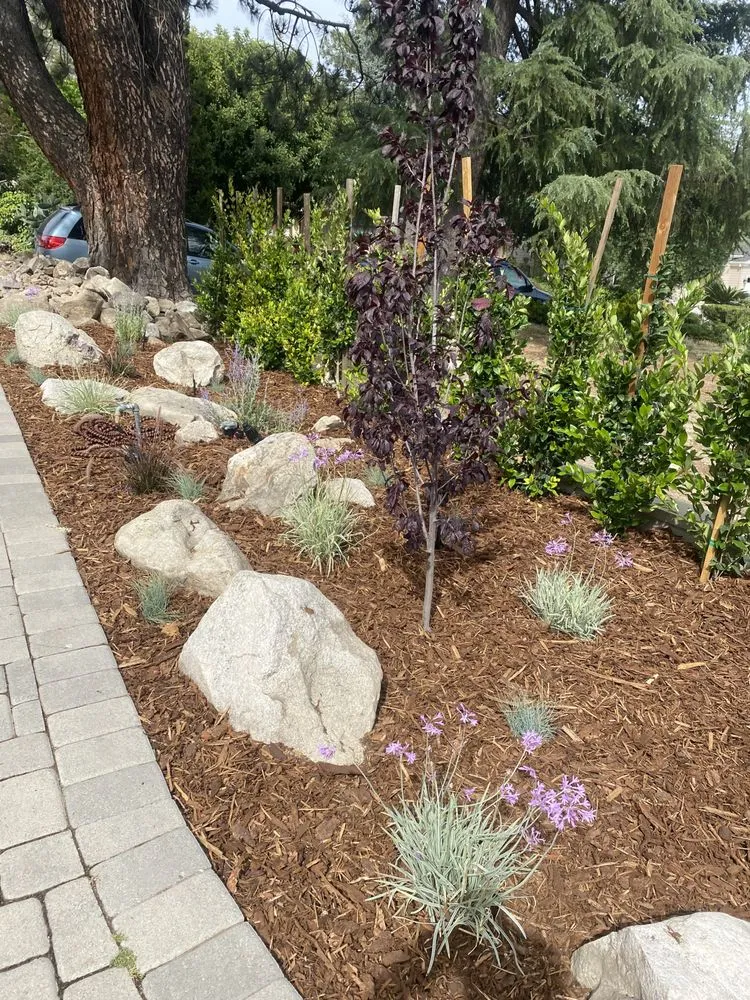 Expert yard maintenance near you across Altadena, CA - Linares Landscaping