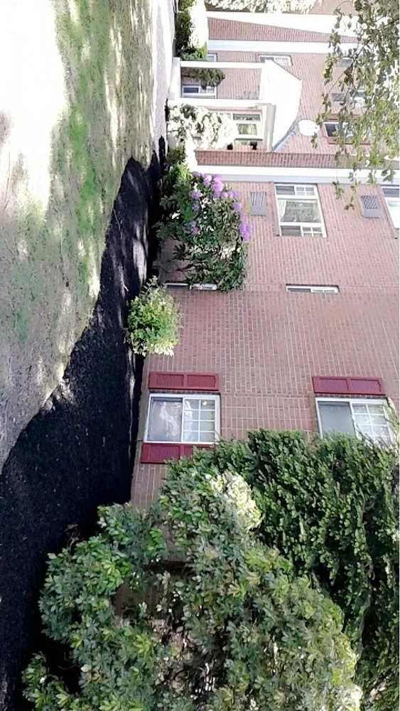 Professional yard cleanup service in Temple, PA by Linares Landscaping Services