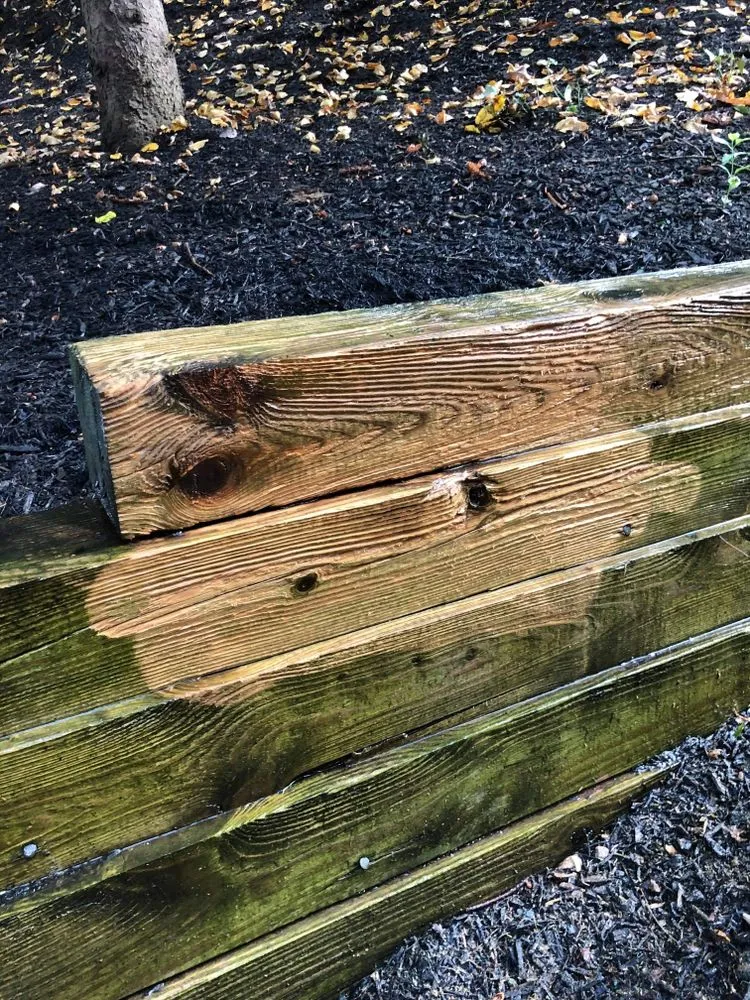 Affordable yard cleanup service for outdoor upgrades in Temple, PA by Linares Landscaping Services