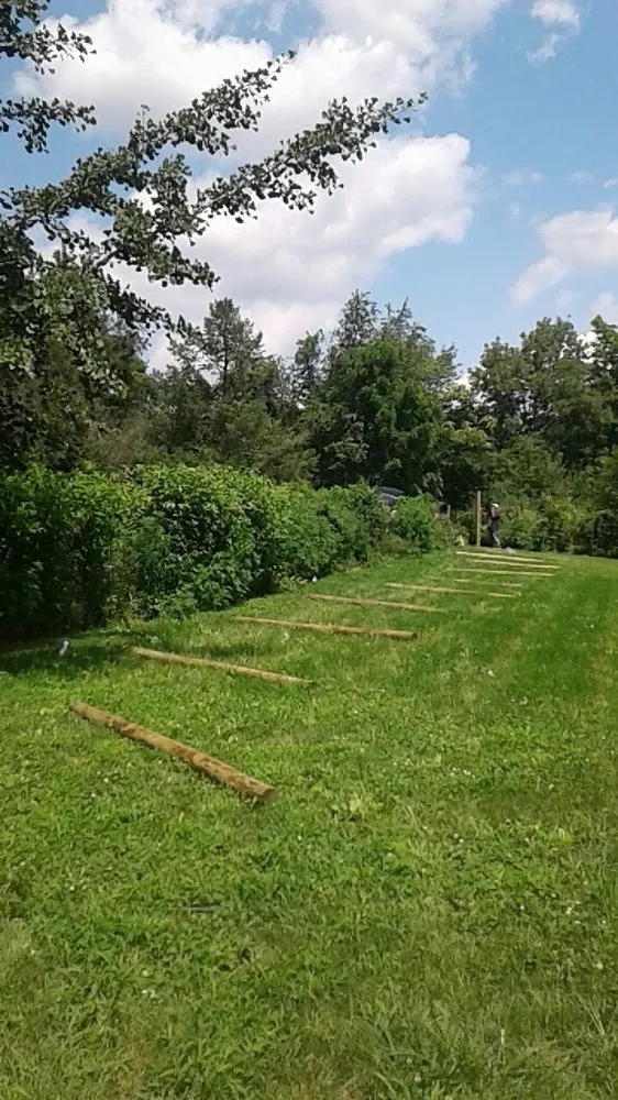 Trusted yard cleanup service experts serving Temple, PA - Linares Landscaping Services