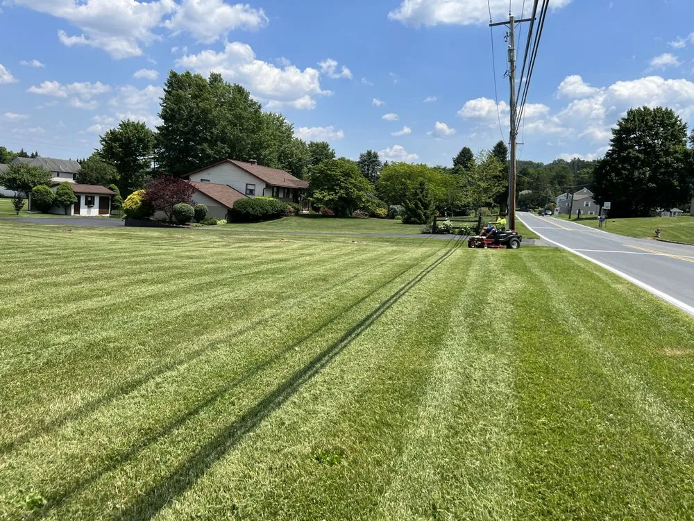 Professional yard maintenance in Temple, PA by Linares Landscaping Services