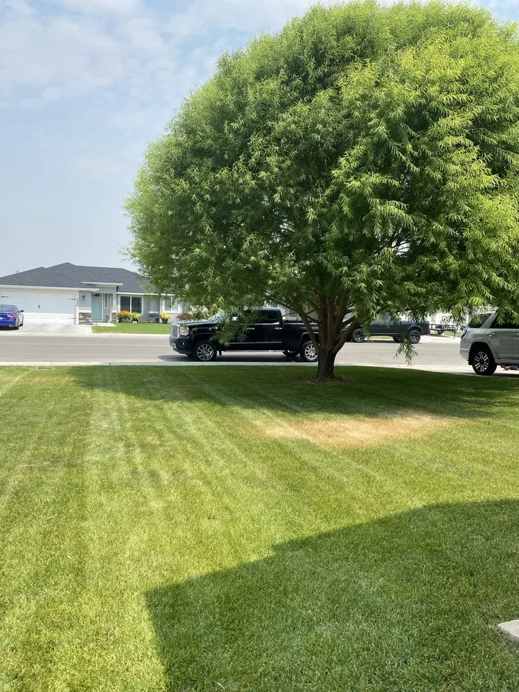 Local yard maintenance in Twin Falls, ID by Linares Lawns