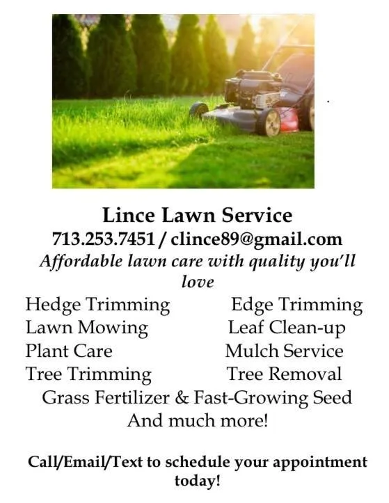 Custom yard maintenance in Houston, TX - Lince Lawn Service