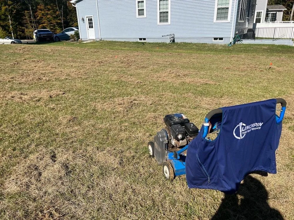 Expert landscaping services experts serving Clinton, MD - Linchpin Turf Maintenance