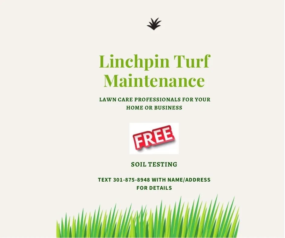 Custom landscape installation in Clinton, MD by Linchpin Turf Maintenance