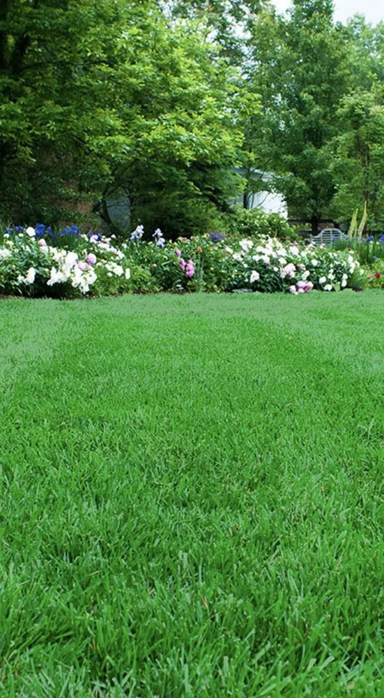 Local outdoor landscaping in Clinton, MD - Linchpin Turf Maintenance