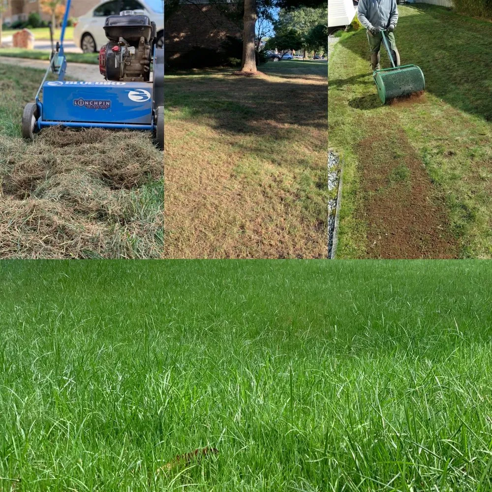 Reliable landscaping services in Clinton, MD by Linchpin Turf Maintenance