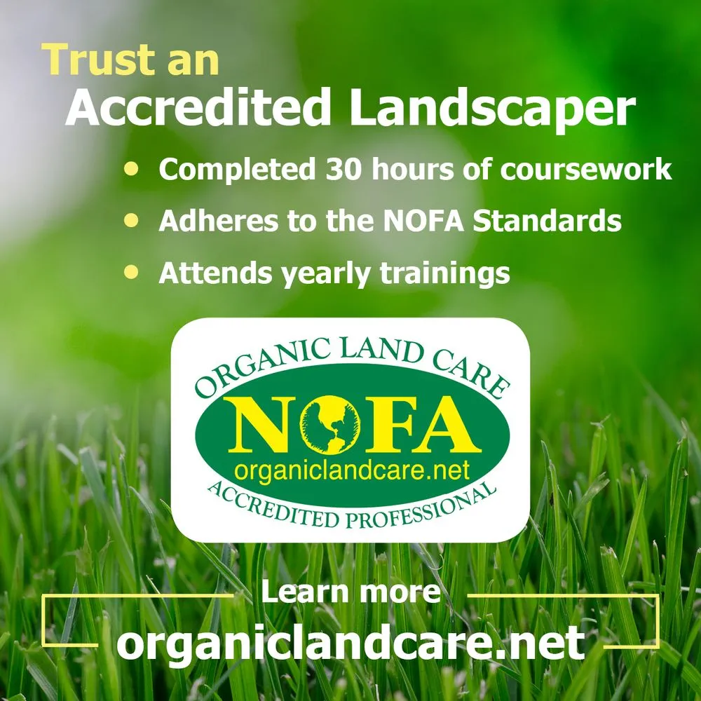 Trusted lawn care service for year-round maintenance across Clinton, MD - Linchpin Turf Maintenance