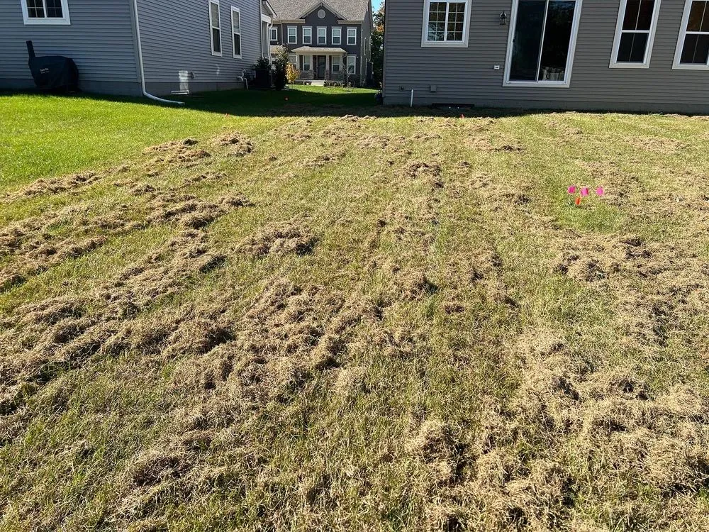 Expert outdoor landscaping near you across Clinton, MD - Linchpin Turf Maintenance