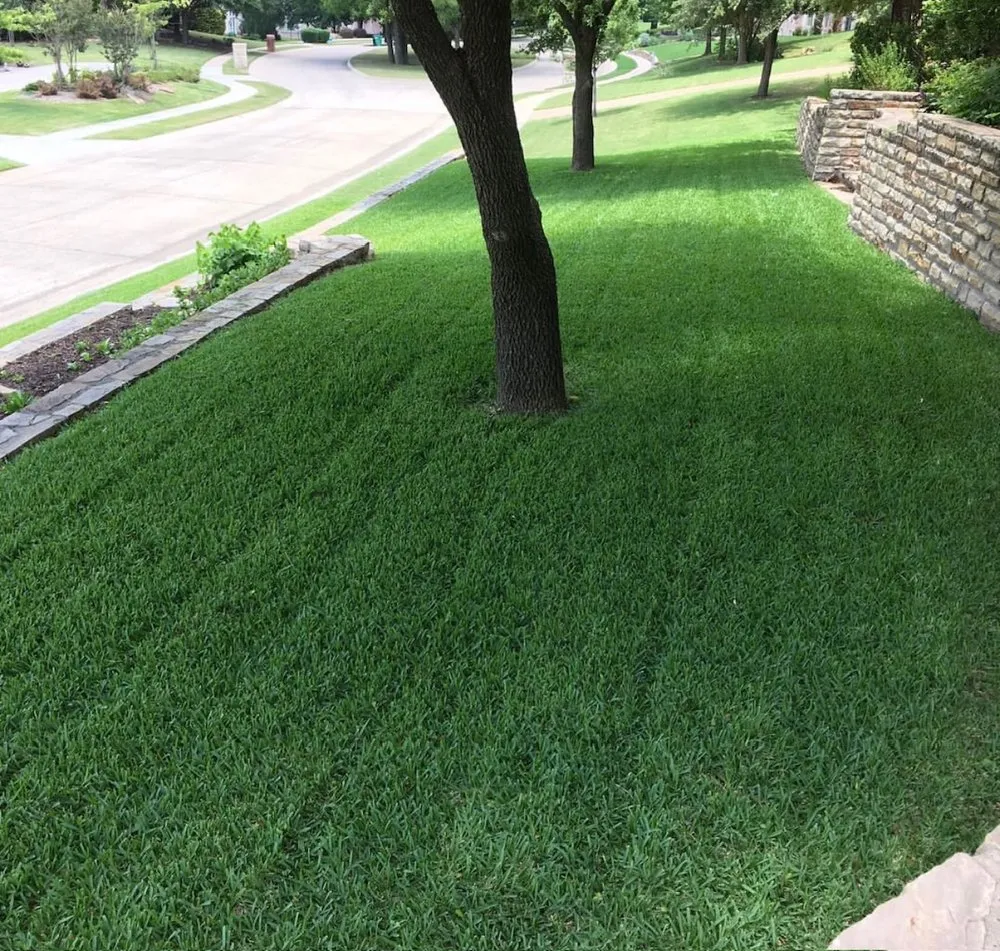 Expert residential landscaping for year-round maintenance in Farmersville, TX by Lincoln Landscape and Lighting